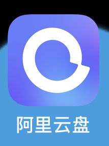 阿里云盘ios默认下载视频到哪里了