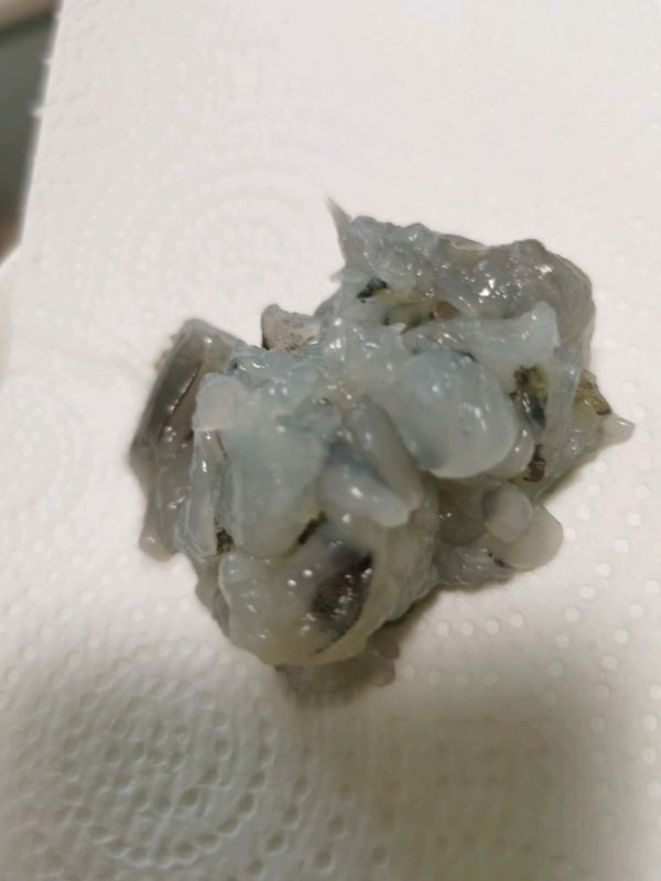 大虾墨鱼汁炒饭