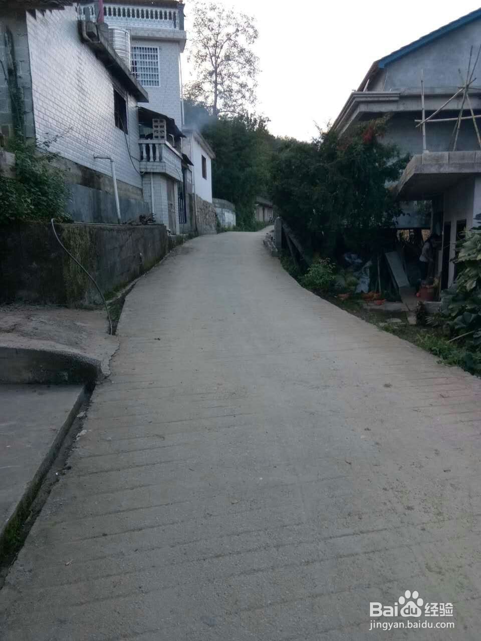 为网友记录旅游的方法