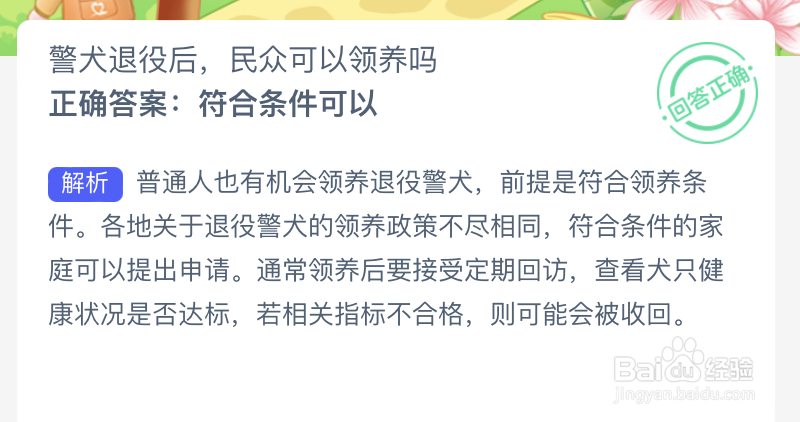 蚂蚁新村:警犬退役后民众可以领养吗