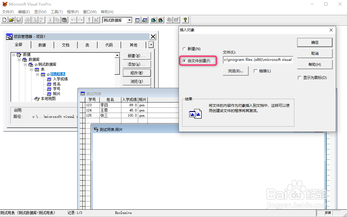 vf6.0在通用型字段插入图片