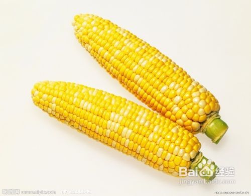 玉米的养生功效都有哪些