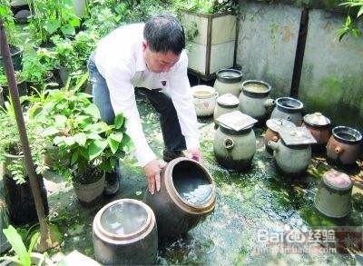 个人家庭减少蚊虫的方法