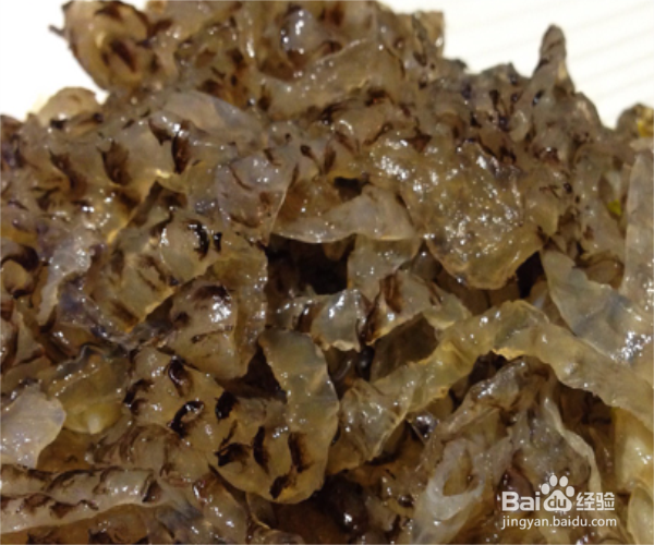 快速凉拌菜——三丝鱼皮