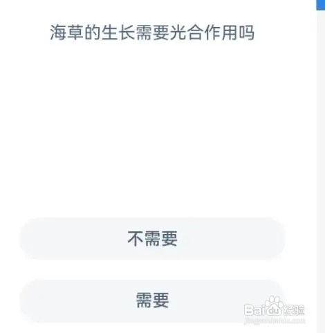 海草的生长需要光合作用吗？神奇海洋1.22答案