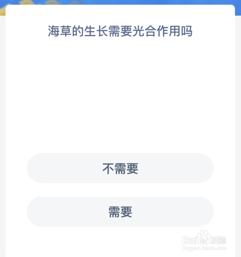 海草的生长需要光合作用吗
