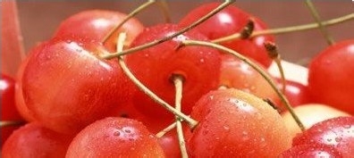 5款超简单补水保湿DIY面膜