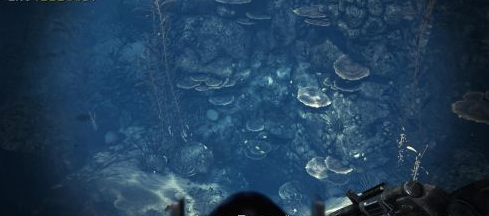 《使命召唤10：幽灵》图文攻略：[21]潜入深处