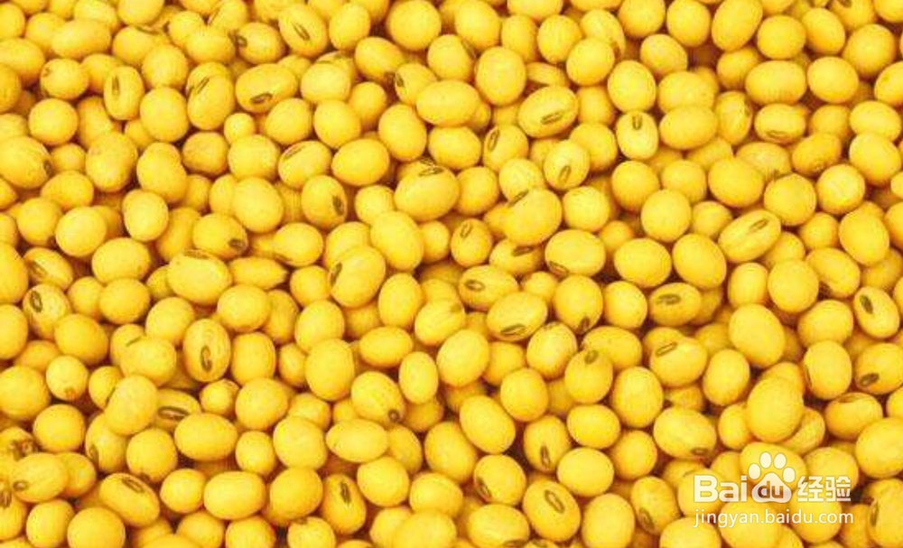 哪些食物不适合和黄豆在一块吃