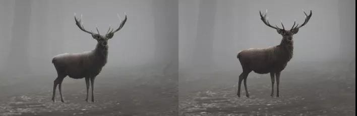 PS:合成一个奇幻神秘的森林场景(下)