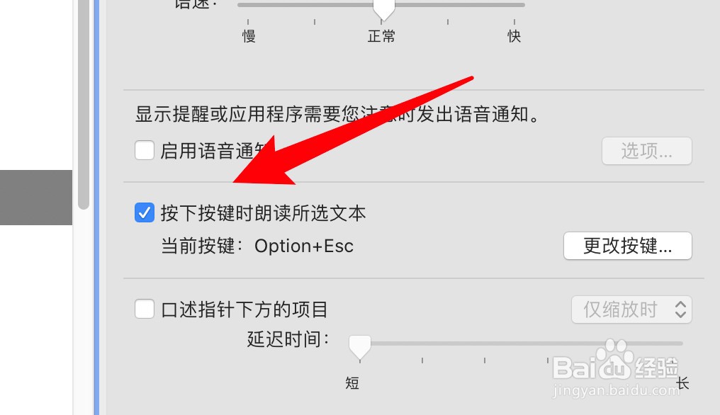 mac电脑怎么开启朗读所选文本的功能