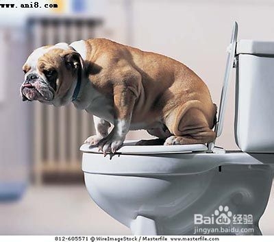 便秘了怎么办呢