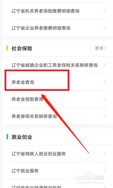 养老金怎样查询
