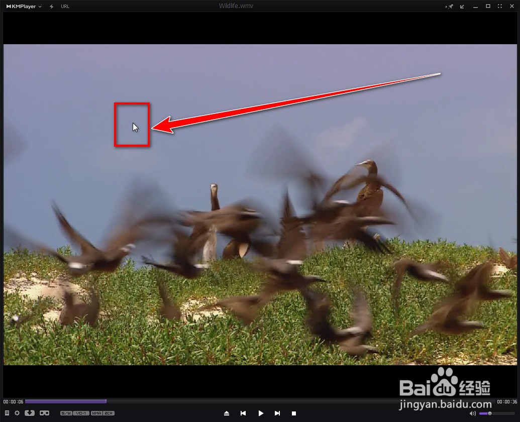 KMPlayer如何记住加载的音频位置