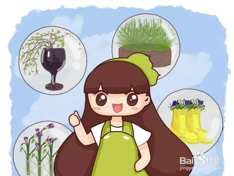 长寿花生虫子了怎么治