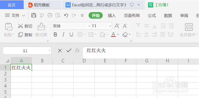 怎么在Excel的一个单元格内输入两行或多行文字
