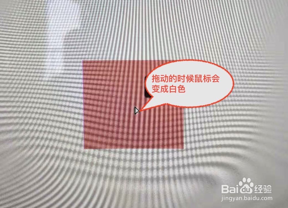 adobe Photoshop选择工具怎么使用