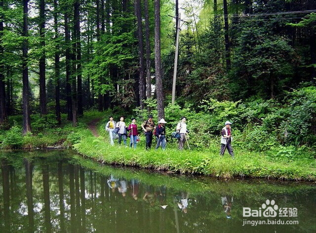 节日出行，野外旅游如何应付意外
