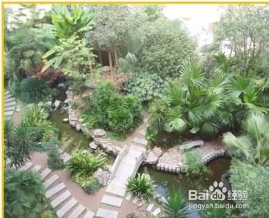 如何保护植物发明