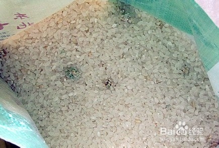 大米发霉怎么办