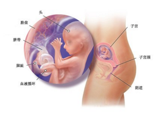 孕妇内衣怎么选择 如何把握选购重点