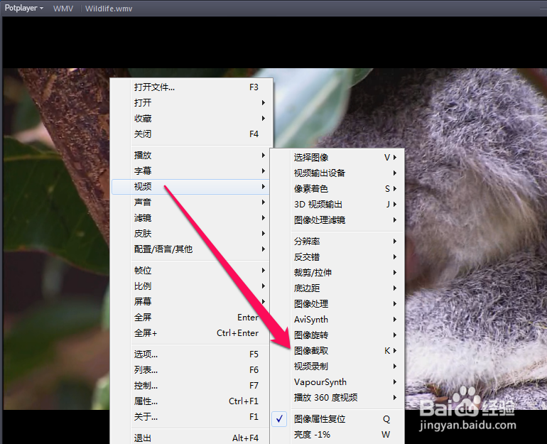 potplayer截图方法