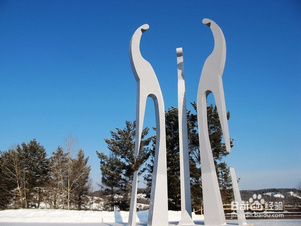 漠河户外原生态三日游景点攻略