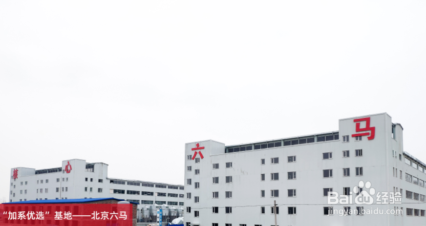 种猪基因公司如何能引领种猪市场?