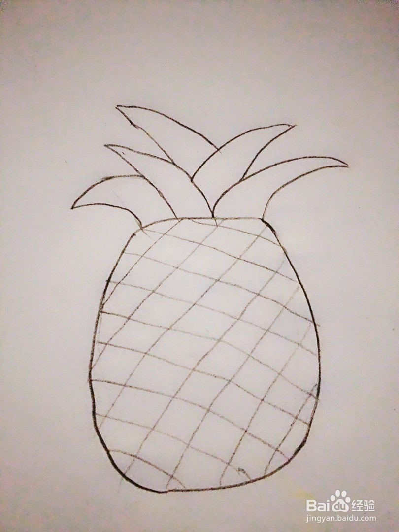 菠萝的简笔画法