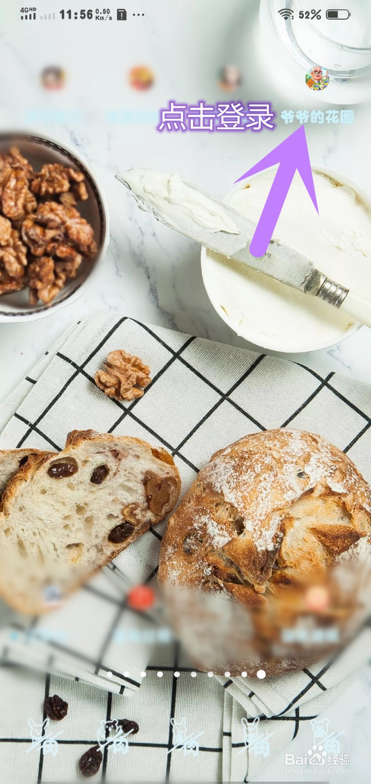 爷爷的花园如何解锁大丽花种植