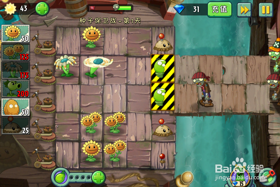 植物大战僵尸2:种子保卫战第1天(海盗港湾)