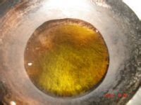 美味大丰收的做法