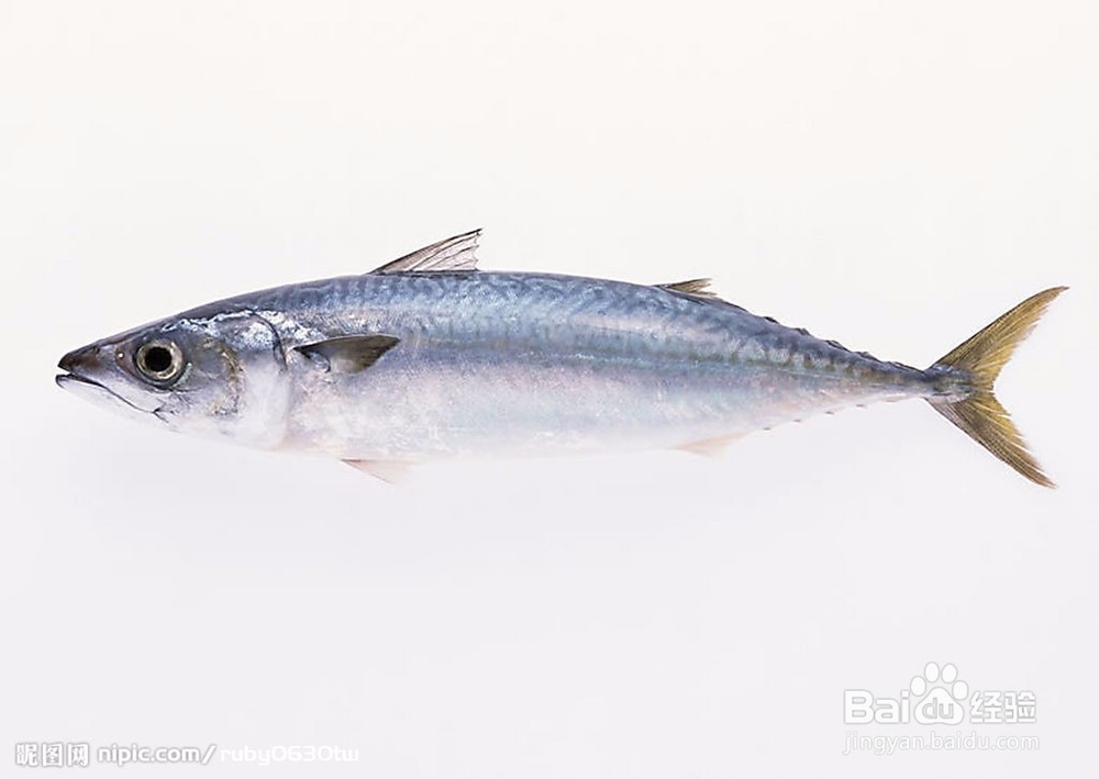 有助于提高记忆力的食物（一）