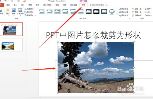 PPT中图片怎么裁剪为形状