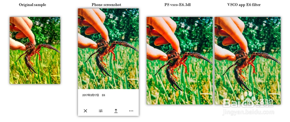 如何用photoshop修出vsco滤镜效果:VSCO-3D LUT