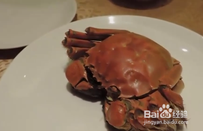 <b>螃蟹的吃法视频教程</b>