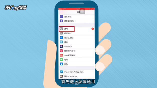 苹果辅助功能选项怎么设置