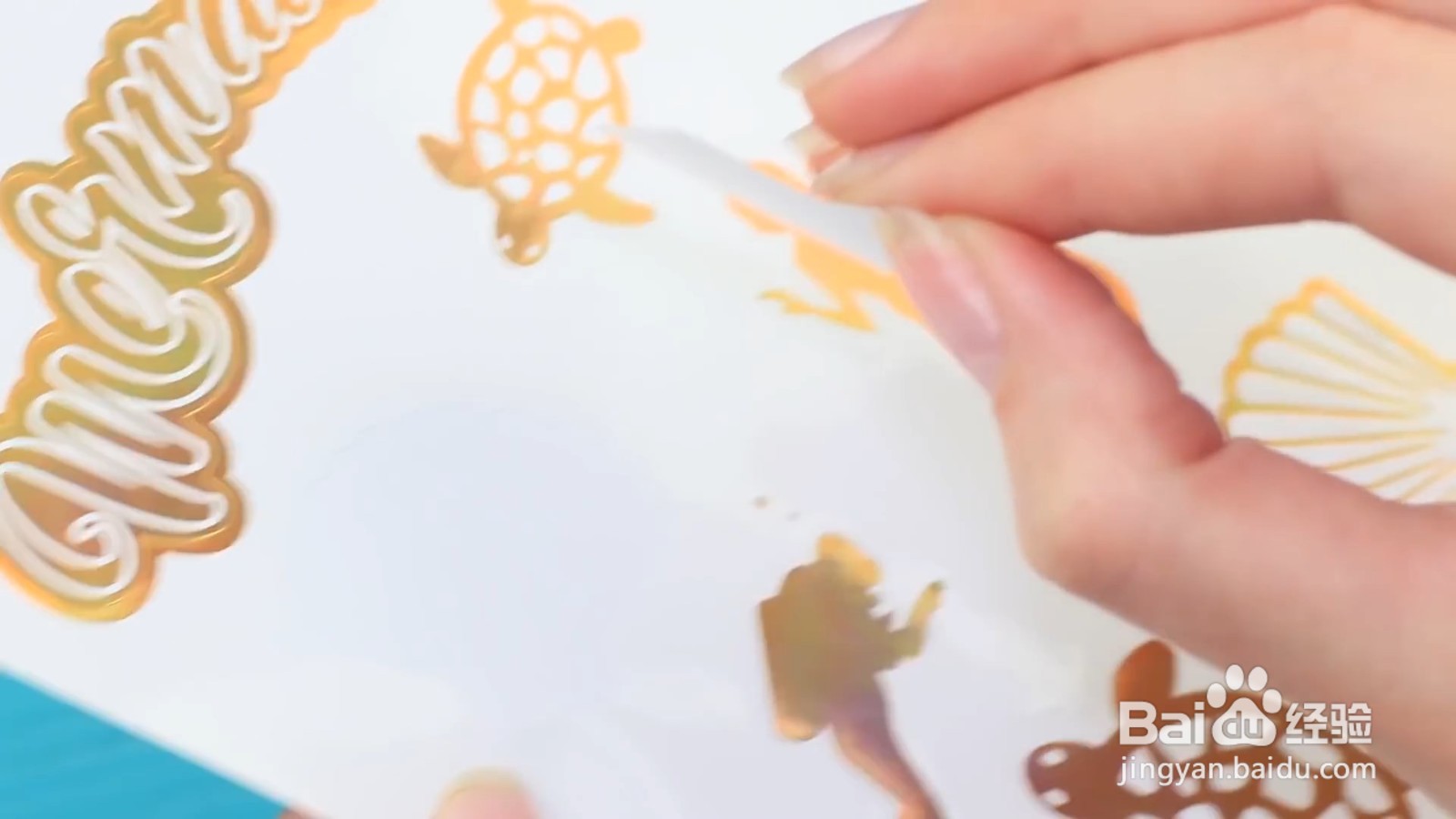 如何制作美丽的贝壳蜡笔和渔网笔记本