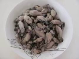 补肾妙招一吃就行