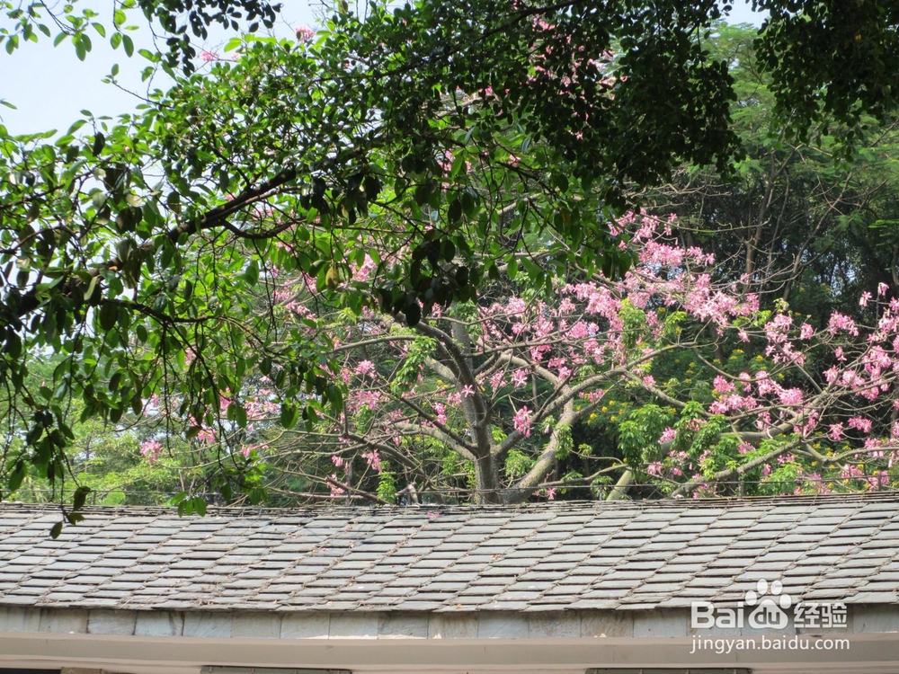 如何快速释放个人压力