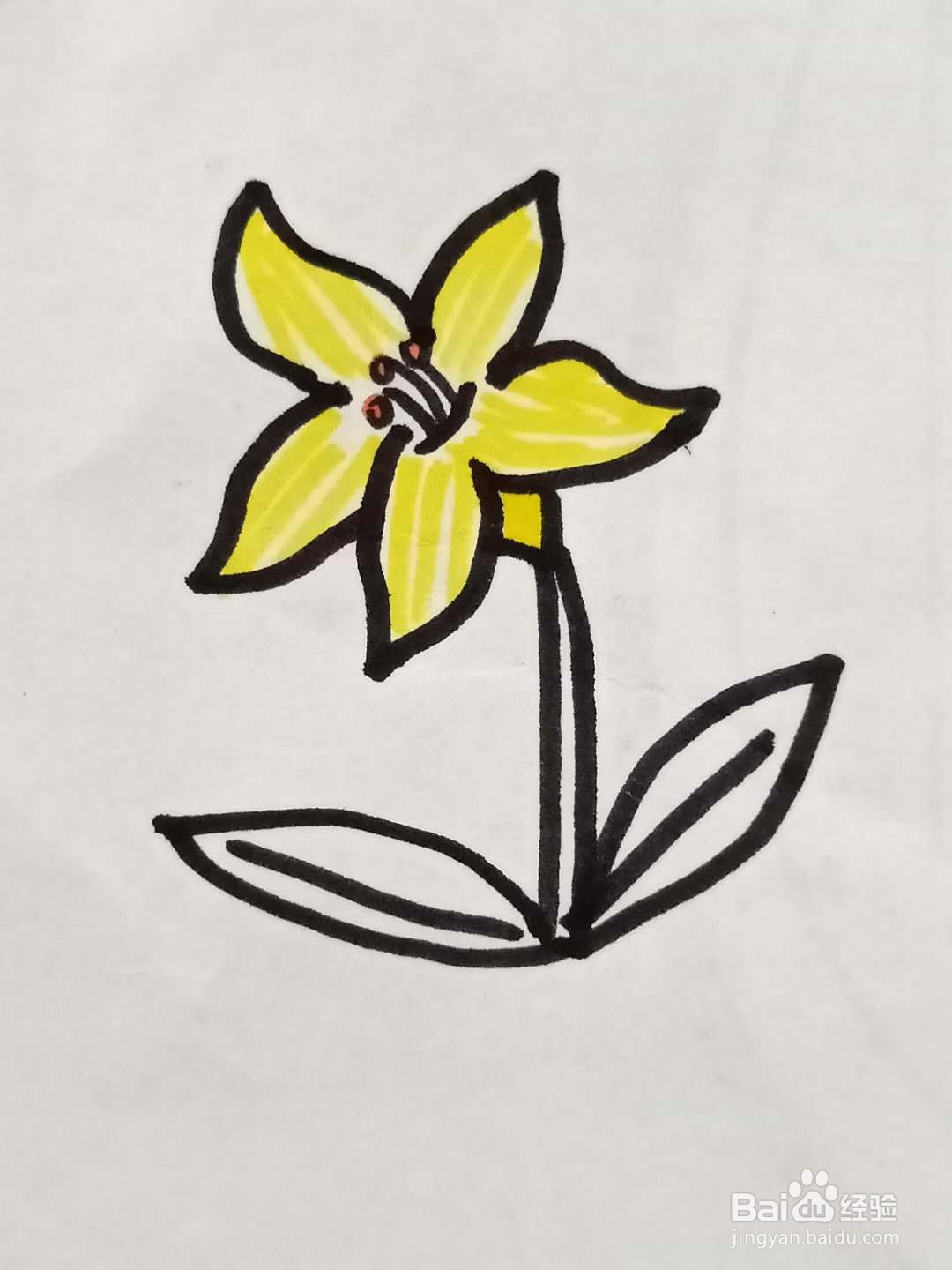 怎样画百合花