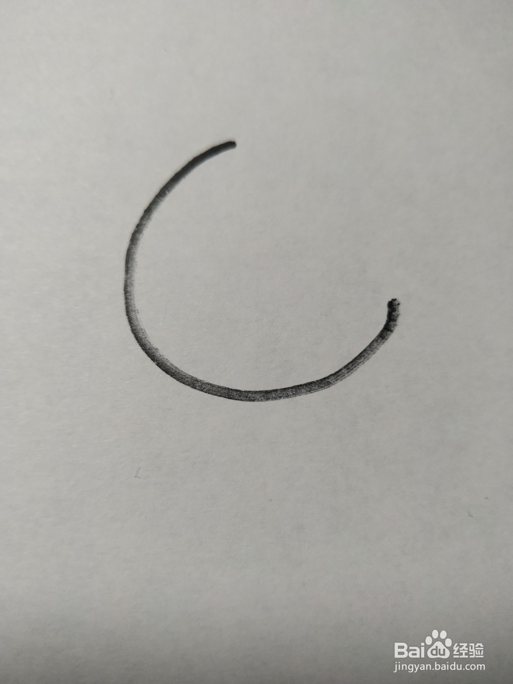 毛驴的简笔画技法6