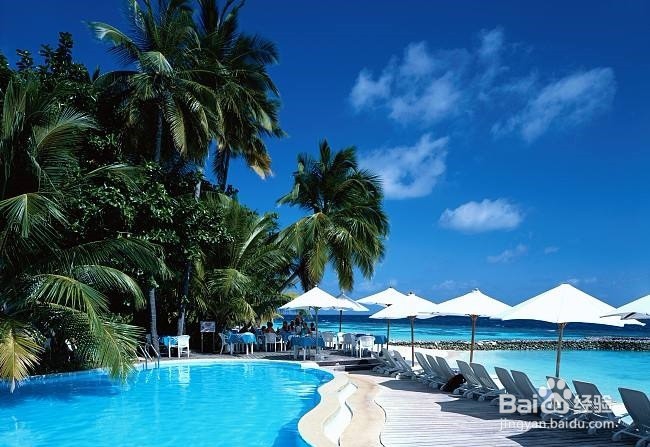 游泳应该注意什么