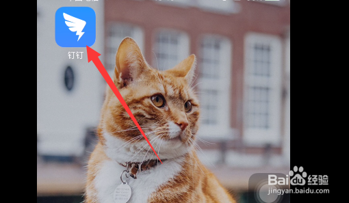 怎么如何将密聊入口展现在消息列表中？