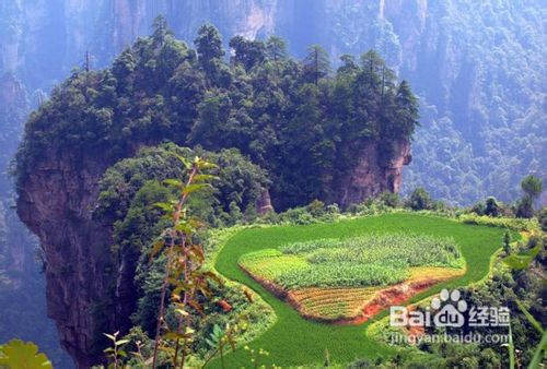 张家界旅游线路(图文细化版)