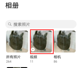 如何无水印的下载皮皮虾里的视频