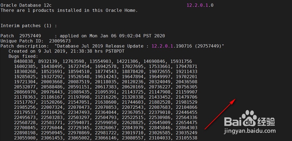 认识oracle12c体系结构
