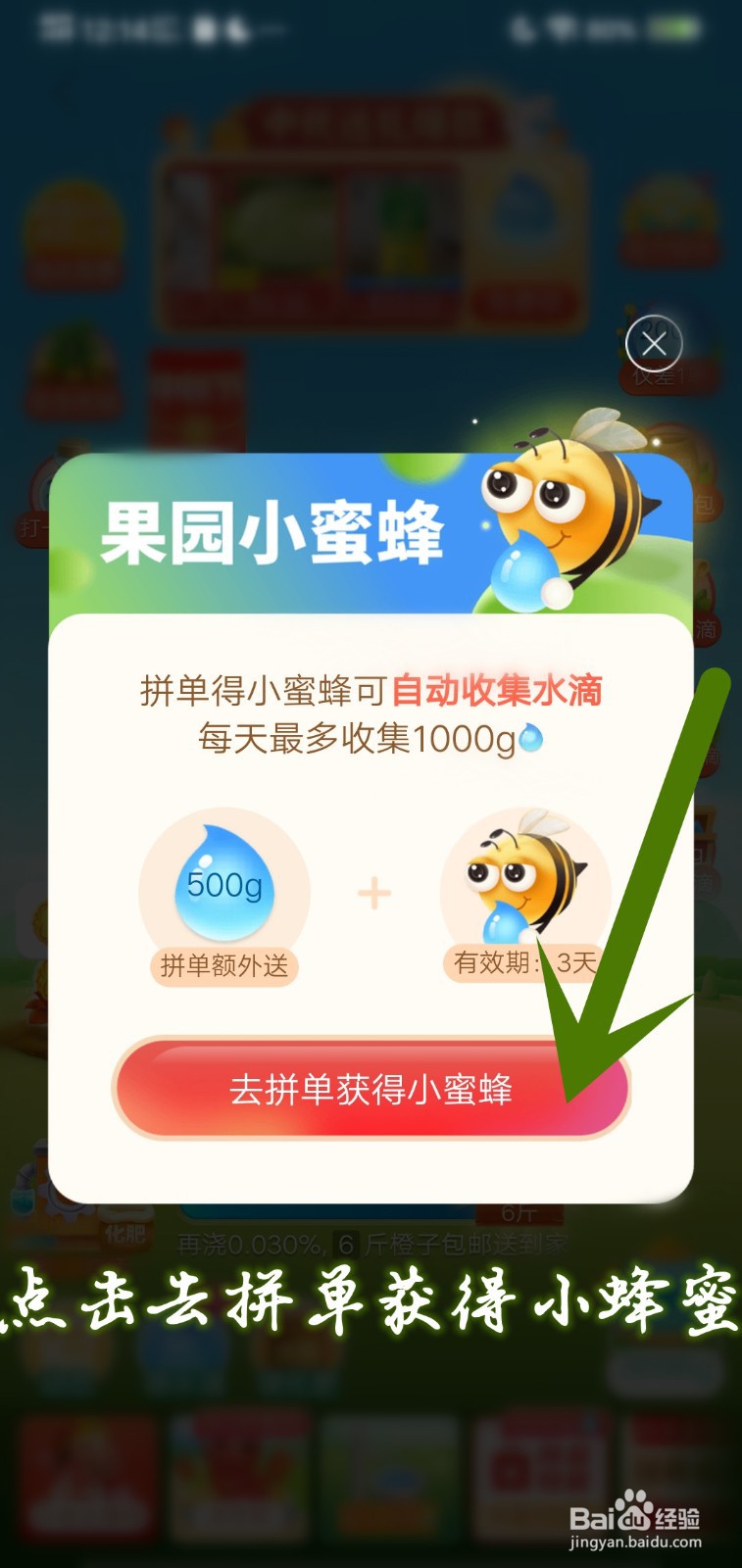 如何在果园领小蜜蜂收集水滴奖励