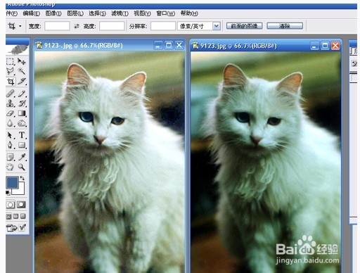 photoshop修正色温高照片技巧