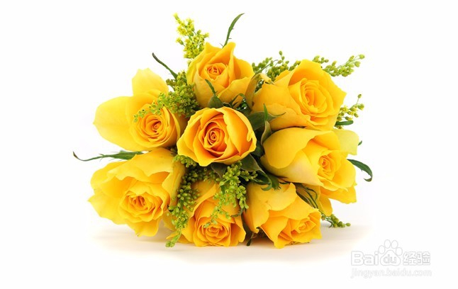 如何立即摆脱恐惧